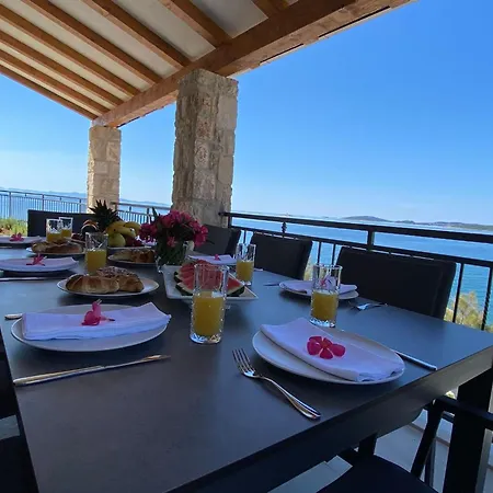 Ferienvilla Dalmatiner Mit Infinity Pool By Interhome Holiday home *