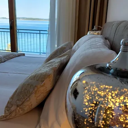 Ferienvilla Dalmatiner Mit Infinity Pool By Interhome