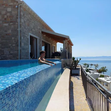 Ferienhaus Ferienvilla Dalmatiner Mit Infinity Pool By Interhome