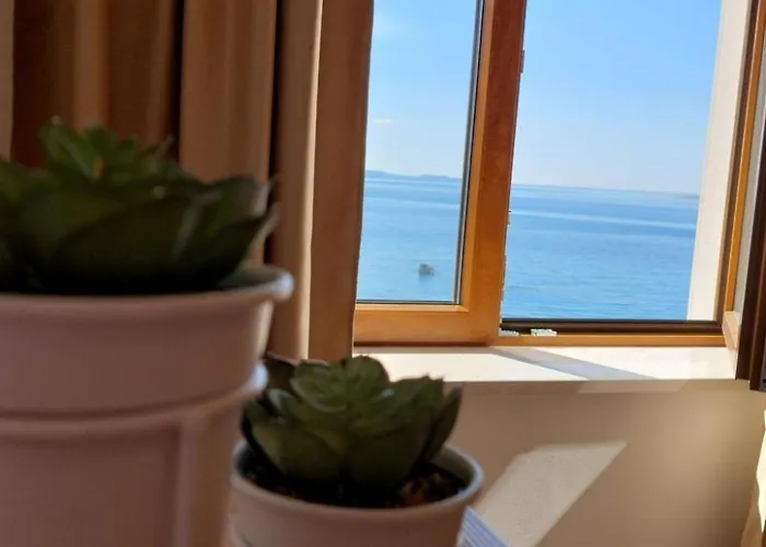 Ferienvilla Dalmatiner Mit Infinity Pool By Interhome